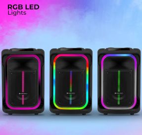 Zebronics Zeb Buddy 300 Wireless Speaker
