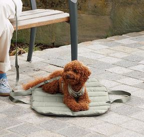 Miacara Strada Dog Travelbed