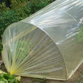 Tenax Sun Film Garden Tunnels
