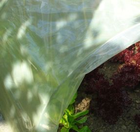 Tenax Sun Film Garden Tunnels