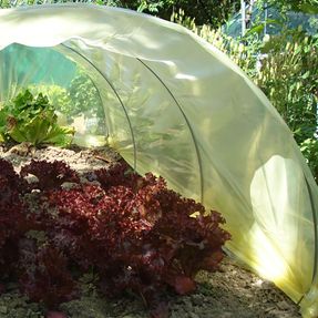 Tenax Sun Film Garden Tunnels