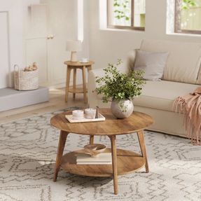 Wayfair Maklena Coffee Table With 2-Tier Storage Shelves