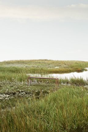 Aytm Novo Bench Forest