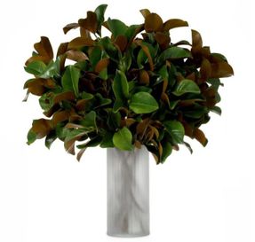 Eichholtz Bundle Of Magnolia Leaves 24 Pcs Artifical Plant