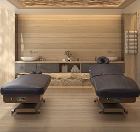 Lemi ThermoSoft-V Massage Tables