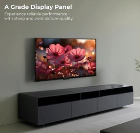 Zebronics Zeb 32P7 Led Tv