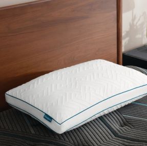 Wayfair Beautyrest Deluxe Down Alternative Pillow