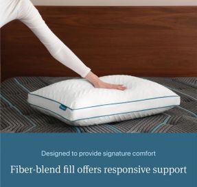 Wayfair Beautyrest Deluxe Down Alternative Pillow