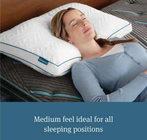 Wayfair Beautyrest Deluxe Down Alternative Pillow