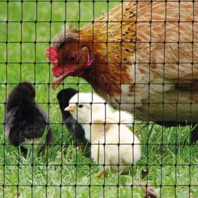 Tenax Aviary Fencing