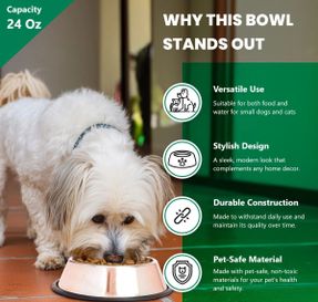 Wayfair Anti-Skid Pet Bowl (Set of 2)