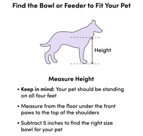 Wayfair Anti-Skid Pet Bowl (Set of 2)