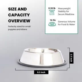 Wayfair Anti-Skid Pet Bowl (Set of 2)