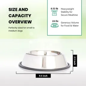 Wayfair Anti-Skid Pet Bowl (Set of 2)
