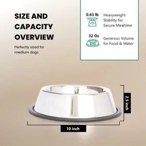 Wayfair Anti-Skid Pet Bowl (Set of 2)