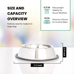 Wayfair Anti-Skid Pet Bowl (Set of 2)