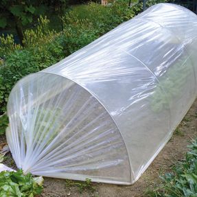 Tenax Coat Film Garden Tunnels