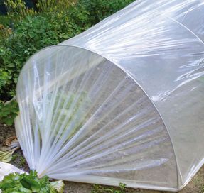 Tenax Coat Film Garden Tunnels