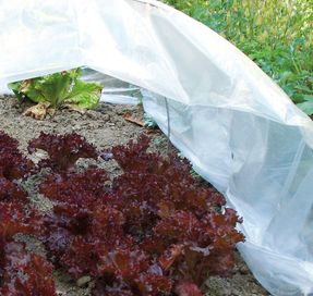 Tenax Coat Film Garden Tunnels
