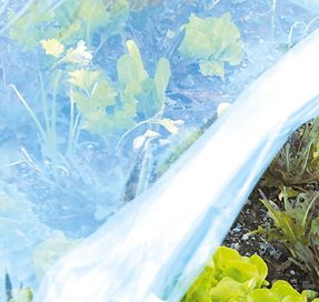 Tenax Coat Film Garden Tunnels