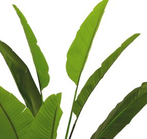 Eichholtz Artificial Plant Strelitzia M