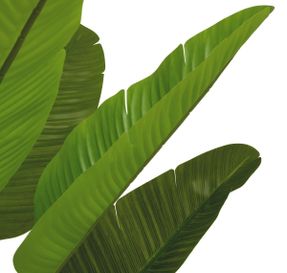 Eichholtz Artificial Plant Strelitzia M