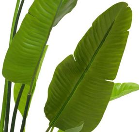 Eichholtz Artificial Plant Strelitzia M