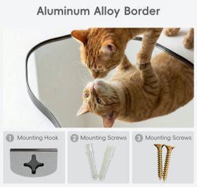 Wayfair Irregular Wall Mirror