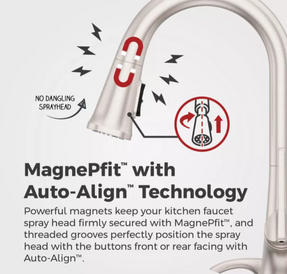 Pfister Faucets Ridgeline Kitchen Taps