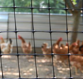 Tenax Fencing And Livestock Farming