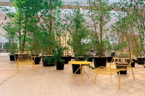 Pedrali Nolita 3654 Lounge-chairs