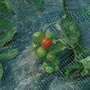 Tenax Utilfender Hail And Bird Protection Net