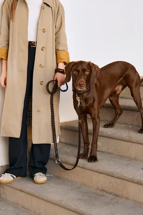 Miacara Bergamo Dog Collar