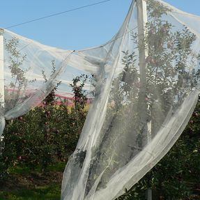 Tenax Iridium Protecting Net
