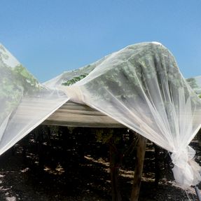 Tenax Iridium Protecting Net