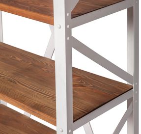 Noodles Shelf PX