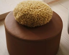boconcept Teddy cushion