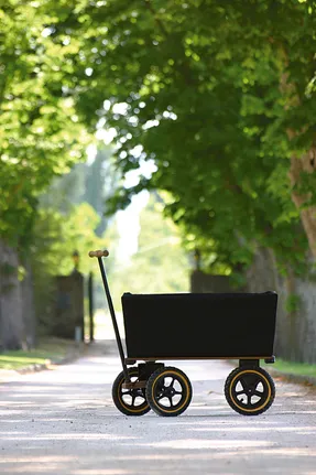 Tradewinds The Wagon Handcarts