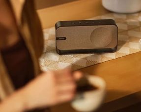Bose Bose Soundlink Home Bluetooth Speaker
