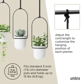 Umbra Triflora-hanging-planter