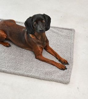 Miacara Senso Dog Blanket