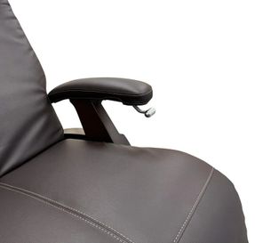 Human Touch Perfect Chair® PC-365 Classic Power Recliner
