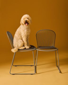 David Design O Chair