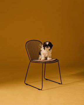 David Design O Chair
