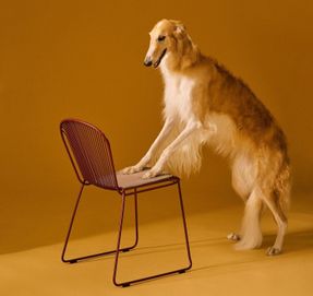 David Design O Chair