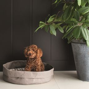 Limacdesign Bed For Dogs And Cats In Vegetable Fiber Pongo