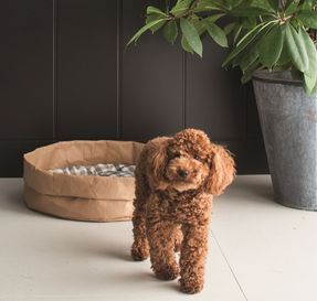 Limacdesign Bed For Dogs And Cats In Vegetable Fiber Pongo