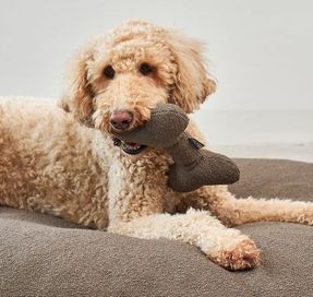 Miacara Mondo Toy Bone