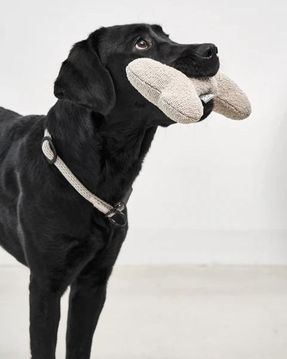Miacara Mondo Toy Bone