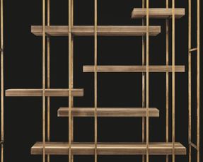 Henge Cage B Bookcase
